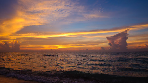 Cover photo