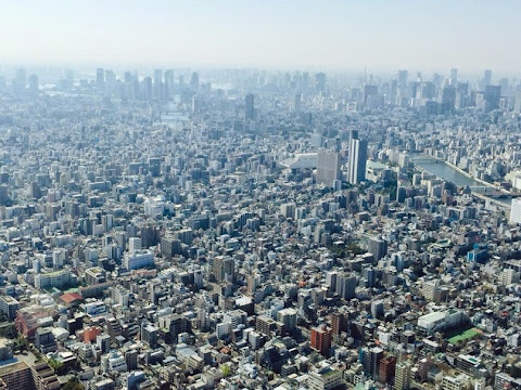 Япония или другая вселенная: 9 дней в Токио и Киото