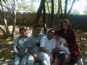 Picasa
