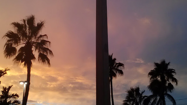 Cover photo