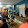 Fred Mcafee Fred Mcafee's profile photo