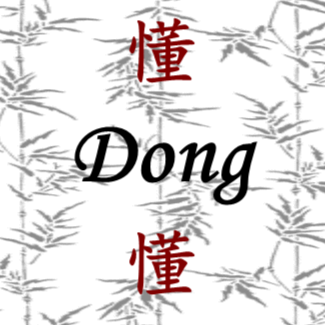 Sprachschule Dong für Chinesisch St. Gallen logo