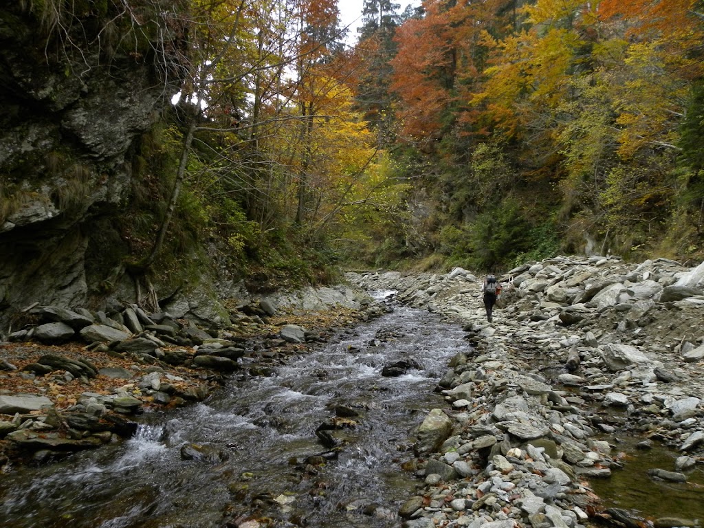 Puterea naturii