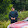 Virendra Giri Virendra Giri's profile photo