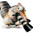Craig Hartley avatar image