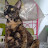 Hani Prianti avatar image