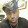 Sha Boogz Sha Boogz's profile photo