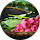 Testimonial-MatBao