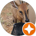 review by Askop RRG review by Askop RRG