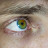 Daniel T. avatar image