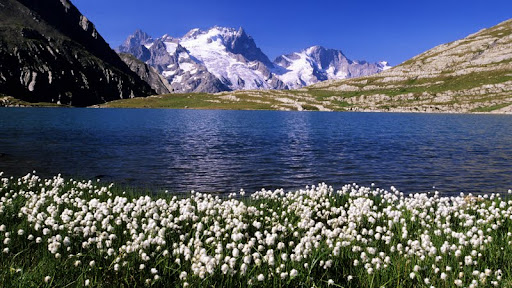 Lake Goleon in Oisans Massif and La Meije, Hautes-Alpes, France.jpg