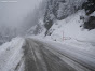 Avalanche Belledonne, secteur Le Recoin, RD111 - Route d'accès à Chamrousse Le Recoin (PR 21+850) - Avalanche n°1 CLPA St Martin d'Uriage - Photo 3 - © Conseil Général 38 et Police Municipale