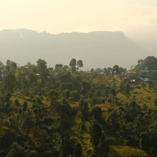 Doan Nguyen (So young)