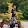 Dominique Girolt Dominique Girolt's profile photo