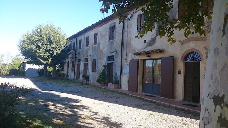 Main image of Podere Spazzavento S.S.