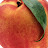 SweetGeorgiaPeache
