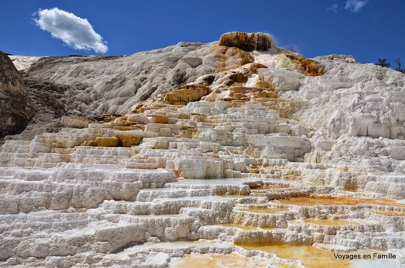 yellowstone mammoth hot spring