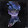 Ian Arledge Ian Arledge's profile photo