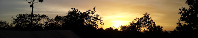 Cover photo
