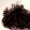 Billy War Haul Billy War Haul's profile photo