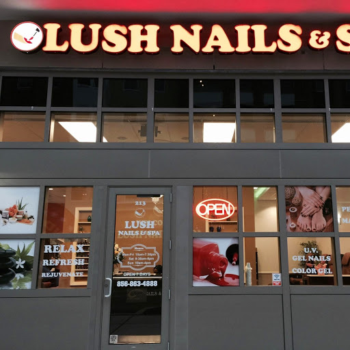 Lush Nails and Spa logo