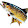Pecheur.info Pecheur.info's profile photo