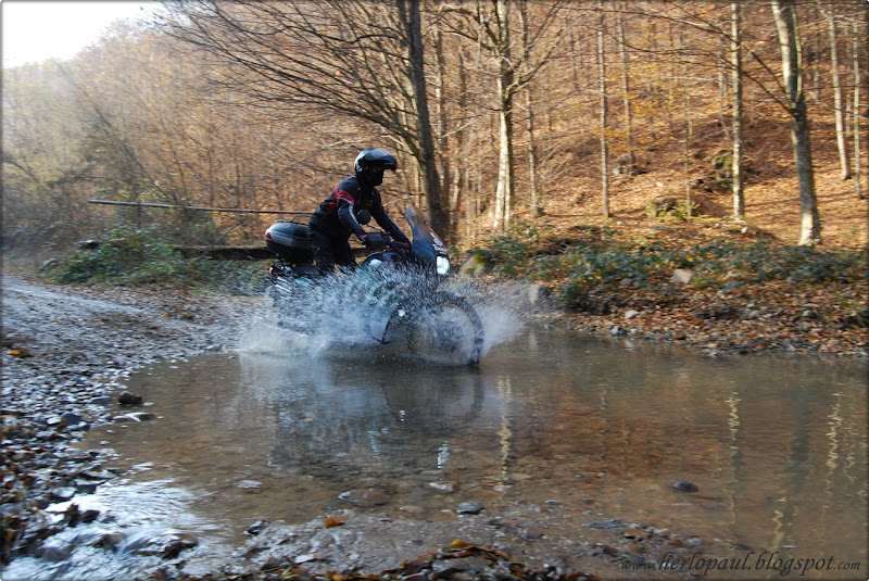 DSC_2847.JPG