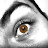 Robert Sharpe avatar image