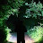 Sarah Pickston avatar image