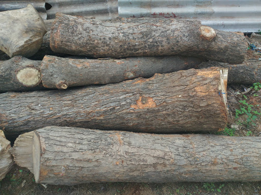 Brahmaiah SAW/Timber depot, opp BSNL Tower,, Trunk Road, Kavali, Andhra Pradesh 524201, India, Exporter, state AP