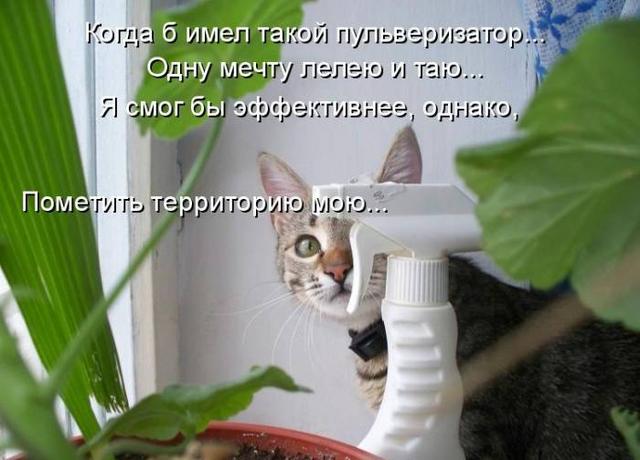 Ни дня без улыбки. Ты давно хочешь что-то изменить, почему бы не сегодня? Ни дня без улыбки. Ты давно хочешь что-то изменить, почему бы не сегодня?