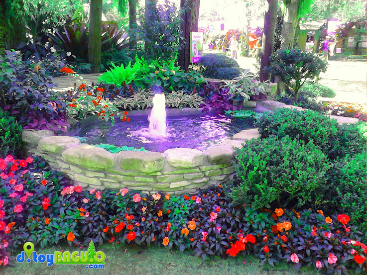 2013 Panagbenga Flower Festival Landscaping picture 10