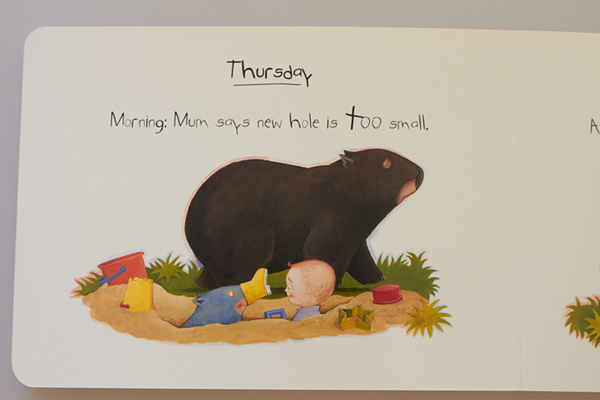Baby Wombat