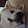 S. Alvarez S. Alvarez's profile photo