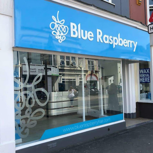 Blue Raspberry Hair logo