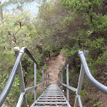 Staircase on Gordon Falls Lookout track (93724)