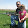 Ryan Hawkins Ryan Hawkins's profile photo