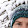 Sandra Nispel Sandra Nispel's profile photo