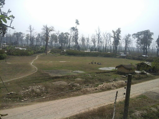 Photos of Tikapur