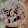 John Ellison John Ellison's profile photo