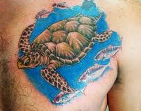 Turtle Tattoos