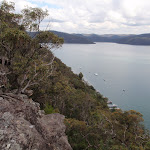 Looking along Tumblecowii  Little Wobby and the Hawkesbury River (205987)