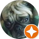 Pug Master 22