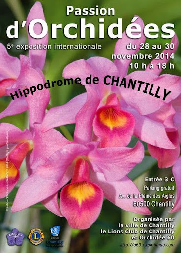 Chantilly, Passion d'Orchidées,  fin novembre 2014 Affiche-exposition-chantilly-2014