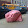 jen kaminsky jen kaminsky's profile photo