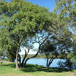 Nice Picnic area on the side of Creek Reserve Road (335650)