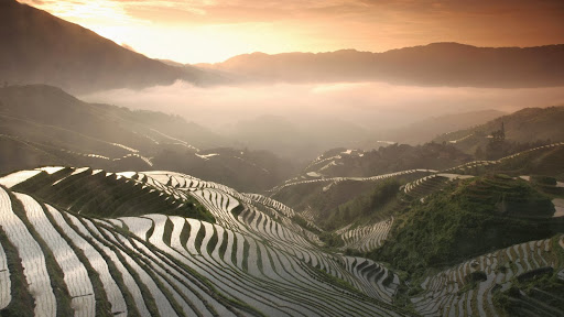 Longsheng Terraced Rice Fields, Guangxi Province, China.jpg