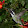 Brent Bristol Brent Bristol's profile photo