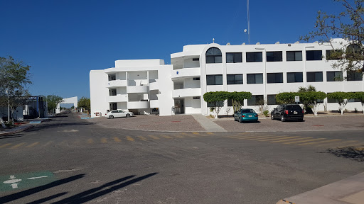 CIBNOR, Instituto Politécnico Nacional 195, Colonia Playa Palo de Santa Rita Sur, 23096 La Paz, B.C.S., México, Instituto de investigación | BCS
