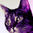 Catherine Monsell avatar image